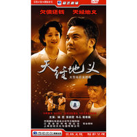 大型电视连续剧:天经地义(DVD)