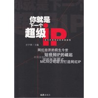 你就是下一个超级IP（成为内容网红的实操秘笈）