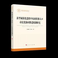 新型城镇化进程中农业转移人口市民化协同推进机制研究（国家社科基金丛书—其他）