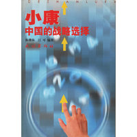 小康中国的战略选择