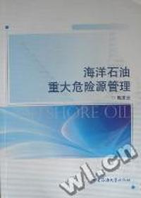 海洋石油重大危险源管理
