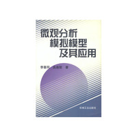 微观分析模拟模型及其应用