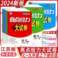 2024春亮点给力全优练霸九年级化学下册人教版初三下册单元期末分类复习各地全程测评试卷