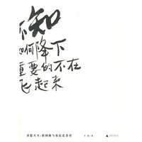 异想天开：蔡国强与农民达芬奇