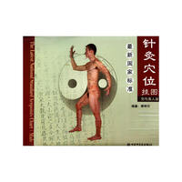 最新国家标准针灸穴位挂图（男性真人版）
