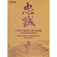 忠诚(24DVD)