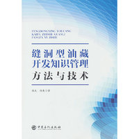 缝洞型油藏开发知识管理方法与技术