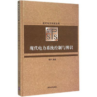 现代电力系统控制与辨识（现代电力系统丛书）