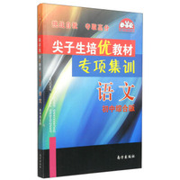 学习加油站丛书·尖子生培优教材专项集训：语文（初中综合版）