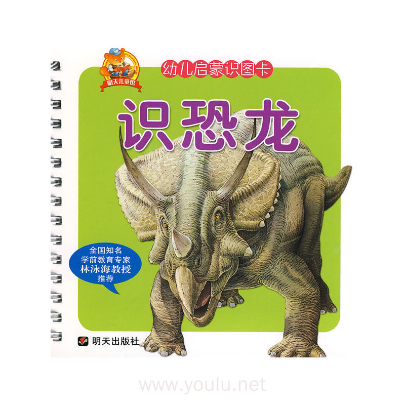 幼儿启蒙识图卡:识恐龙