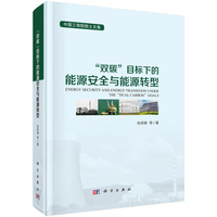 “双碳”目标下的能源安全与能源转型9787030825179杜祥琬科学出版社