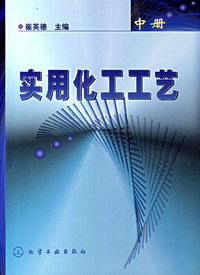 实用化工工艺(中)