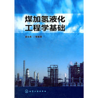 煤加氢液化工程学基础