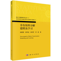 非负矩阵分解建模及学习