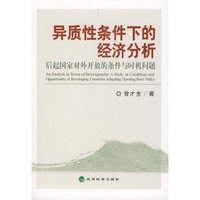 异质性条件下的经济分析