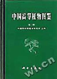 中国高等植物图鉴:= Iconographia Cormophytorum Sinicorum:第三册(精装)