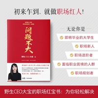 问题不大 野生CEO大宝 职场力作2025 年轻人的第一本职场读物 工作能力提升、工作效率优化、人际关系处理、高效沟通技巧