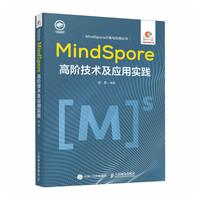 MindSpore高阶技术及应用实践