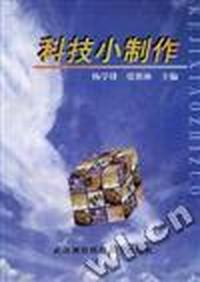科技小制作