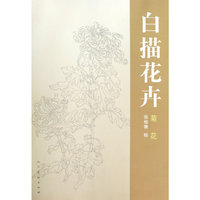 菊花-白描花卉