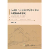 小城镇公共基础设施地区差异与聚集规模研究