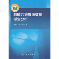 脑磁共振影像数据的时空分析