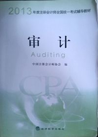 2013审计