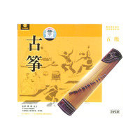 天天艺术古筝考级辅导大全五级(VCD)