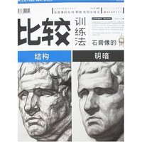 石膏像的结构 明暗 比较训练法