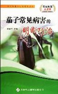 茄子常见病害的明断巧治