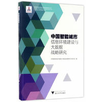 中国智能城市信息环境建设与大数据战略研究