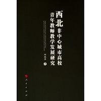 西北非中心城市高校青年教师教学发展研究（L)