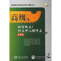 高级数控铣工、加工中心操作工全实景(2VCD)