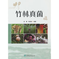 竹林真菌