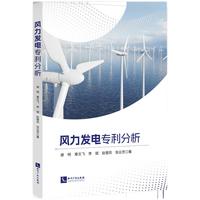 风力发电专利分析