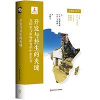 非洲潜力丛书3 开发与共生的夹缝：在国家与市场的变革中求生存