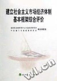 建立社会主义市场经济体制基本框架综合评价