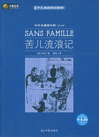 苦儿流浪记