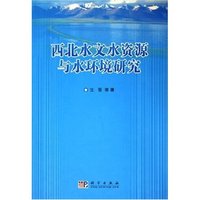 西北水文水资源与水环境研究(精)