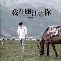 颜振豪：我在丽江等你CD