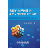 含镁矿物浮选体系中矿物交互影响理论与应用