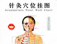 针灸穴位挂图:女性