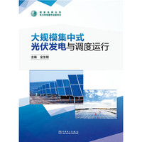 大规模集中式光伏发电与调试运行