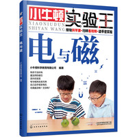 小牛顿实验王——电与磁