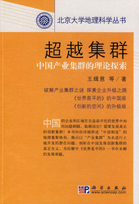 超越集群-中国产业集群的理论探索