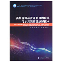 面向能源与资源利用的城镇污水污泥高温热解技术