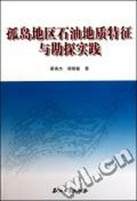 孤岛地区石油地质特征与勘探实践