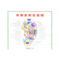 耳部反射区挂图