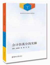 会计仿真分岗实操