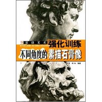 基础美术强化训练-不同角度的素描石膏像(基础美术强化训练)